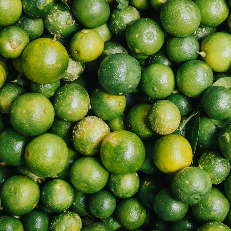 Calamansi Mint | Soy Candle