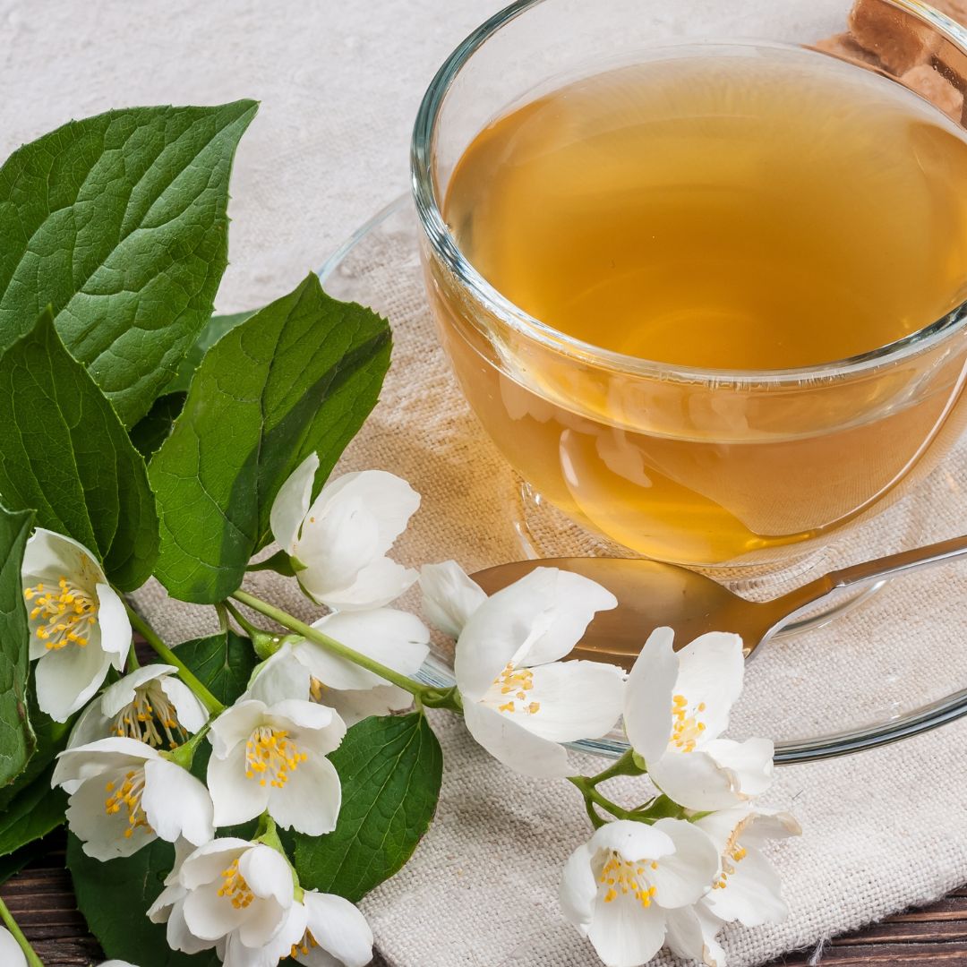 Jasmine Green Tea | Soy Candle