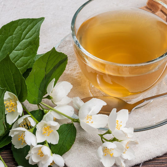 Jasmine Green Tea | Soy Candle
